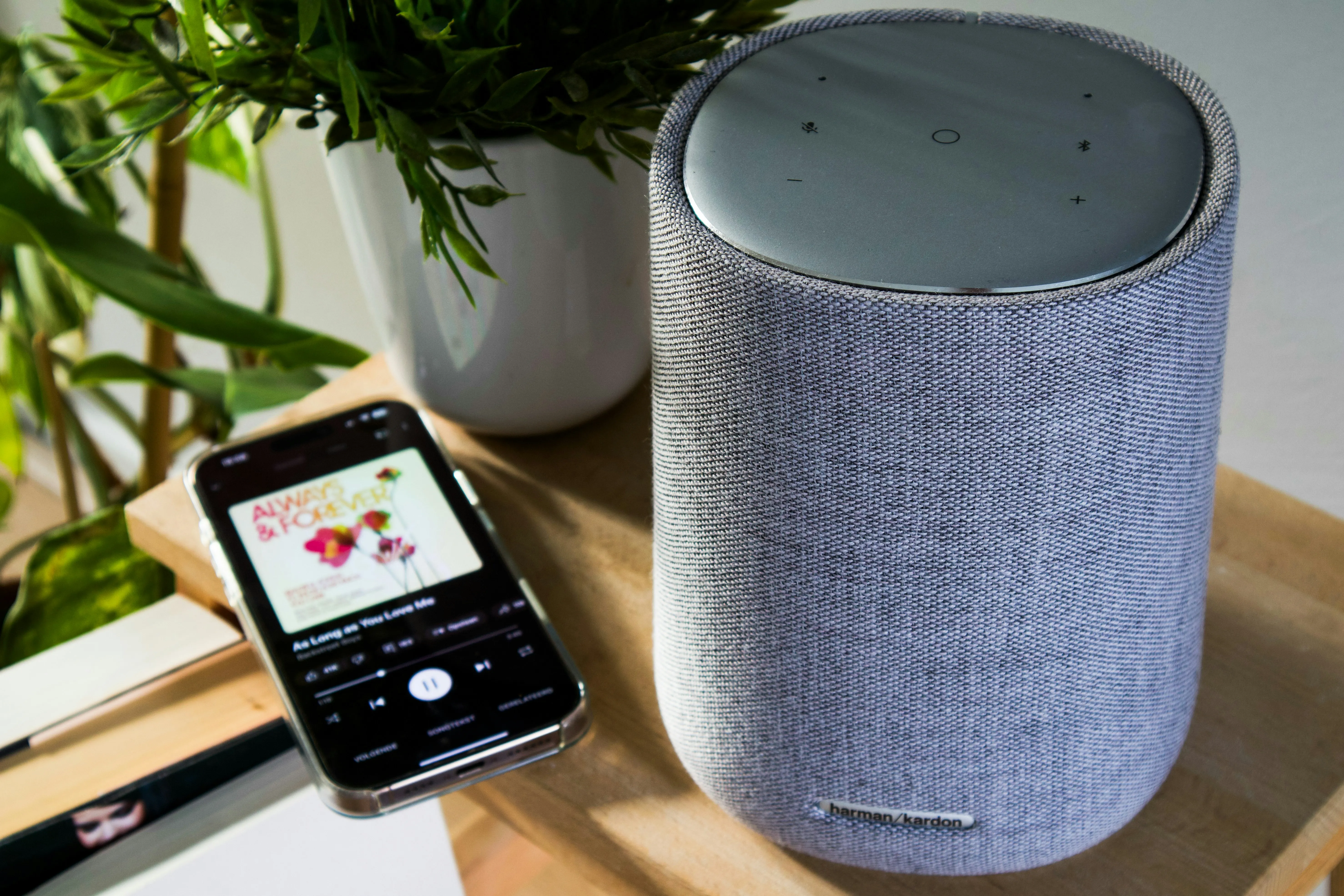Smart Voice Hub